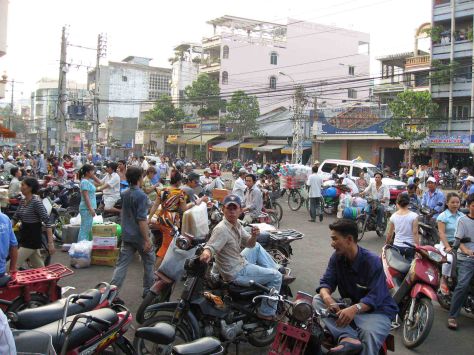 Vietnam rue